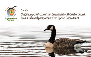 2016-spring-goose-hunt