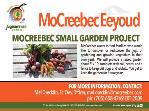 SMALL GARDEN PROJECT